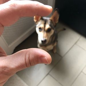 Meet your Posher, Ben